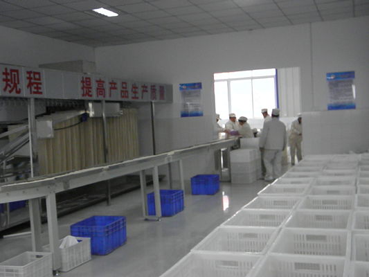 China Máquina de proceso secada sabor sano de los tallarines del huevo del pollo 12 meses de garantía proveedor