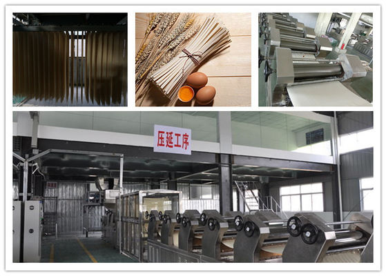 China Tallarines completamente automáticos secados máquina del palillo del secador de las pastas del CE ISO que hacen la máquina proveedor