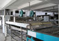 máquina de la planta de los tallarines del poder 55KW, tallarines inmediatos fritos que hacen el equipo proveedor