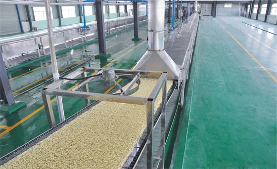China tallarines automáticos fritos 11000bags/8h que hacen la cadena de producción de máquina proveedor