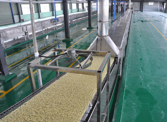 Tallarines fritos automáticos del acero inoxidable que hacen la máquina con diversas capacidades proveedor